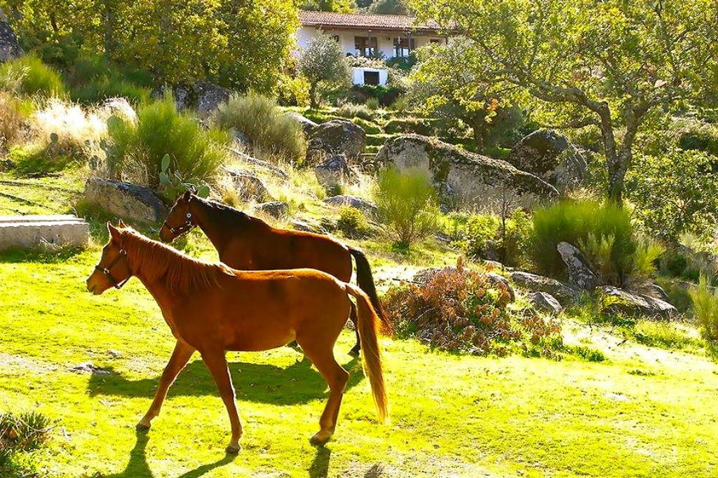 Quinta Do Marvao Guest House Exterior photo